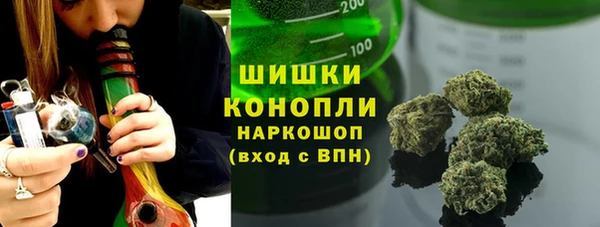 индика Баксан