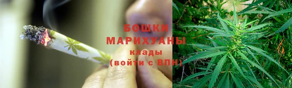 индика Баксан