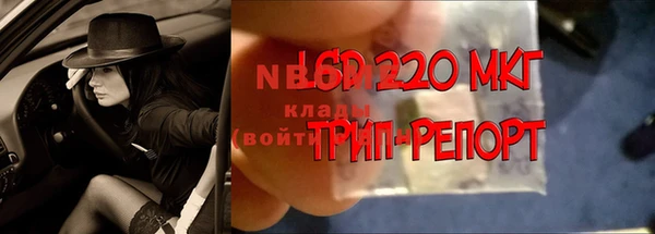 индика Баксан