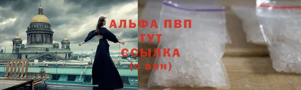 индика Баксан