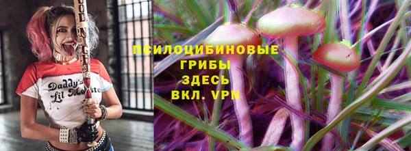 индика Баксан