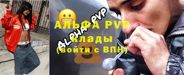 индика Баксан